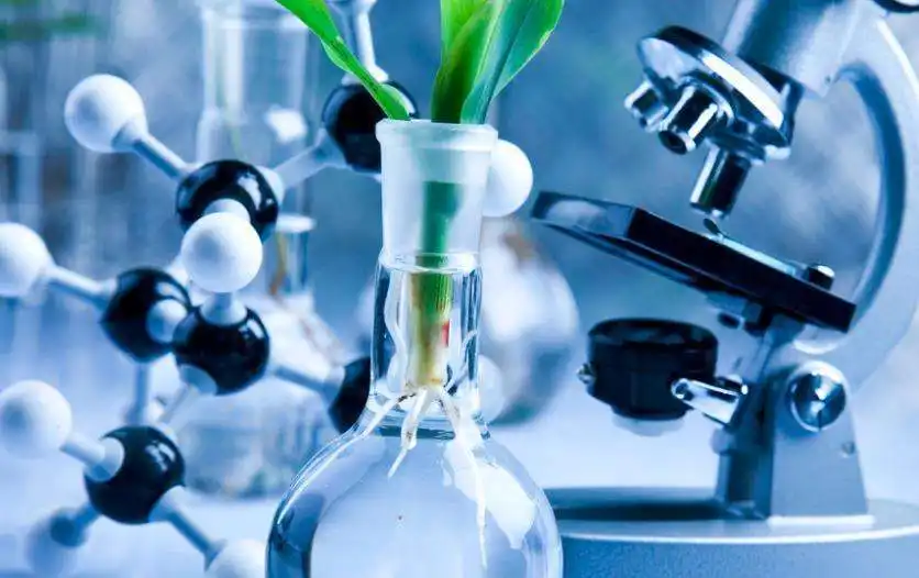 种子专业何以成热门_职点未来，高考志愿填报服务平台，新高考选科填报指南，高考查分，大学专业排名，生涯规划