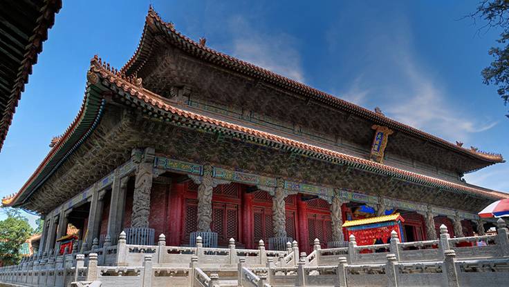 历史学 昨天的记忆_职点未来，高考志愿填报服务平台，新高考选科填报指南，高考查分，大学专业排名，生涯规划