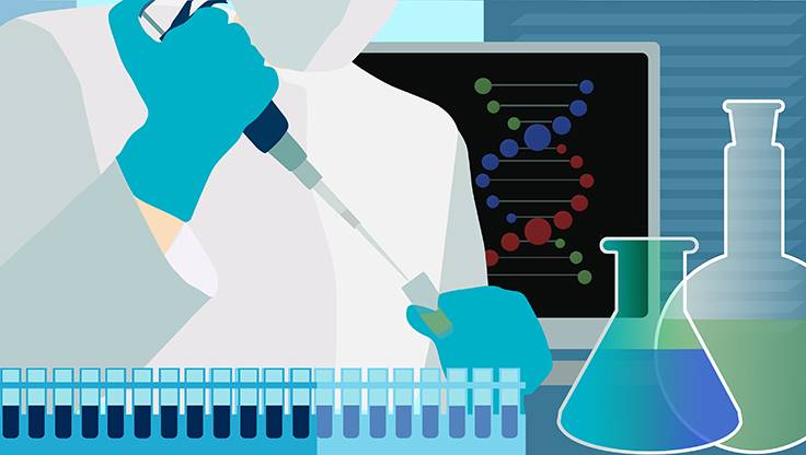 应用化学  衣食住行离不了_职点未来，高考志愿填报服务平台，新高考选科填报指南，高考查分，大学专业排名，生涯规划