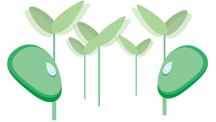 园艺  园丁的艺术_职点未来，高考志愿填报服务平台，新高考选科填报指南，高考查分，大学专业排名，生涯规划