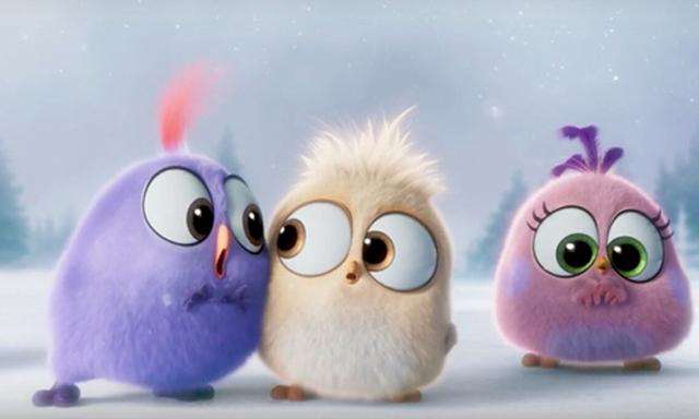 动画  就业难不是整体现象_职点未来，高考志愿填报服务平台，新高考选科填报指南，高考查分，大学专业排名，生涯规划