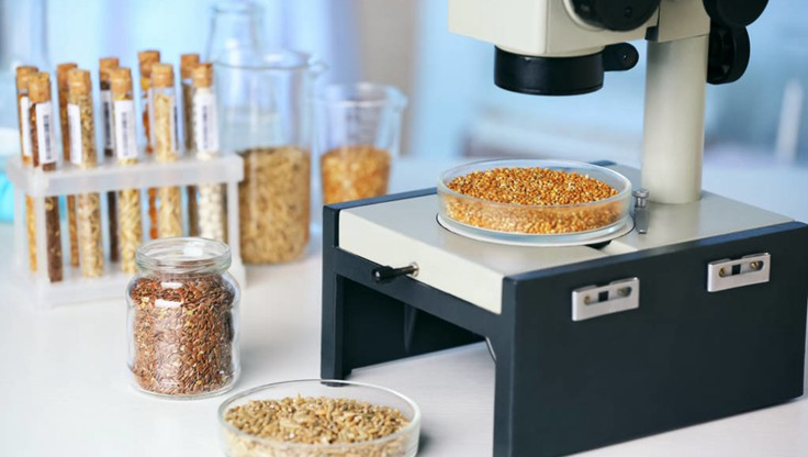 食品科学与工程  “舌尖上”的学问_职点未来，高考志愿填报服务平台，新高考选科填报指南，高考查分，大学专业排名，生涯规划